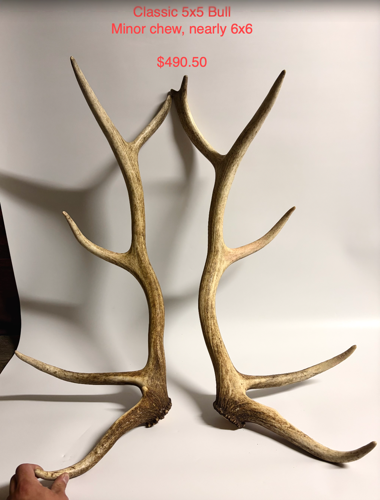 Elk Set Custom Order for Heidi