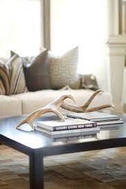 Elk Antler From A Wild Canadian Bull Elk. Crafting, Home Decor, and More.