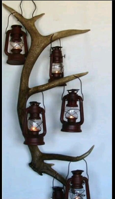 Elk Antler. Wild Natural Shed from a Canadian Bull Elk. Incredibly Rare find. Crafting and Decor