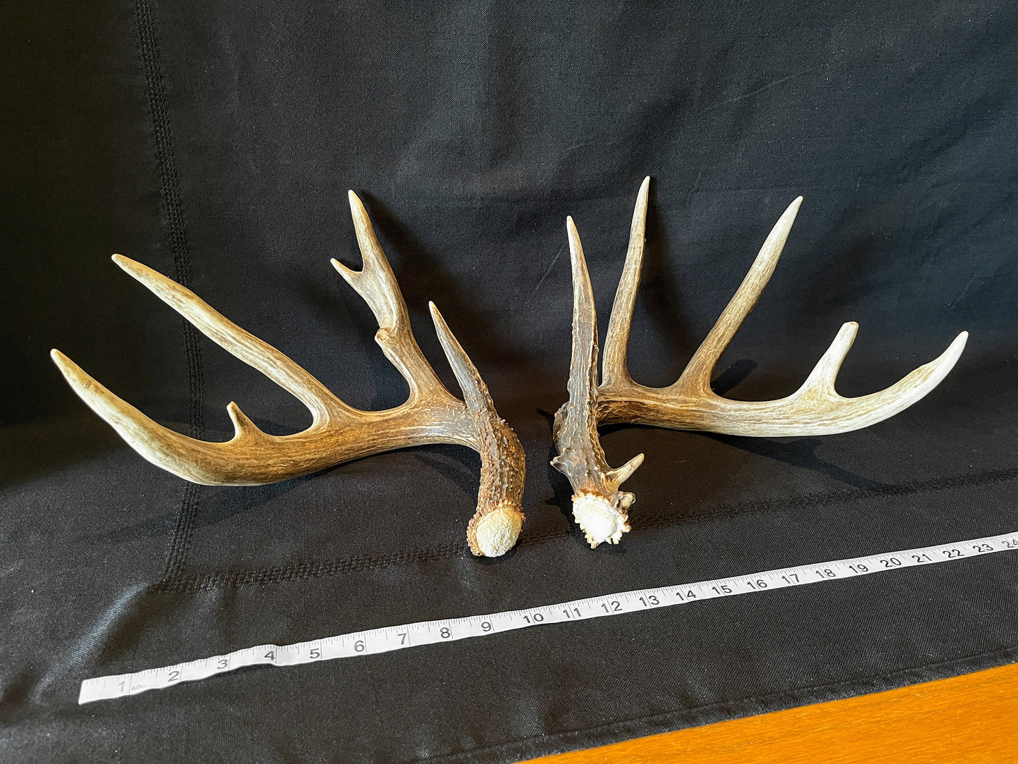 Set of Large Canadian Whitetail Deer Antlers. Gorgreous 6x6 Point Antler Set.