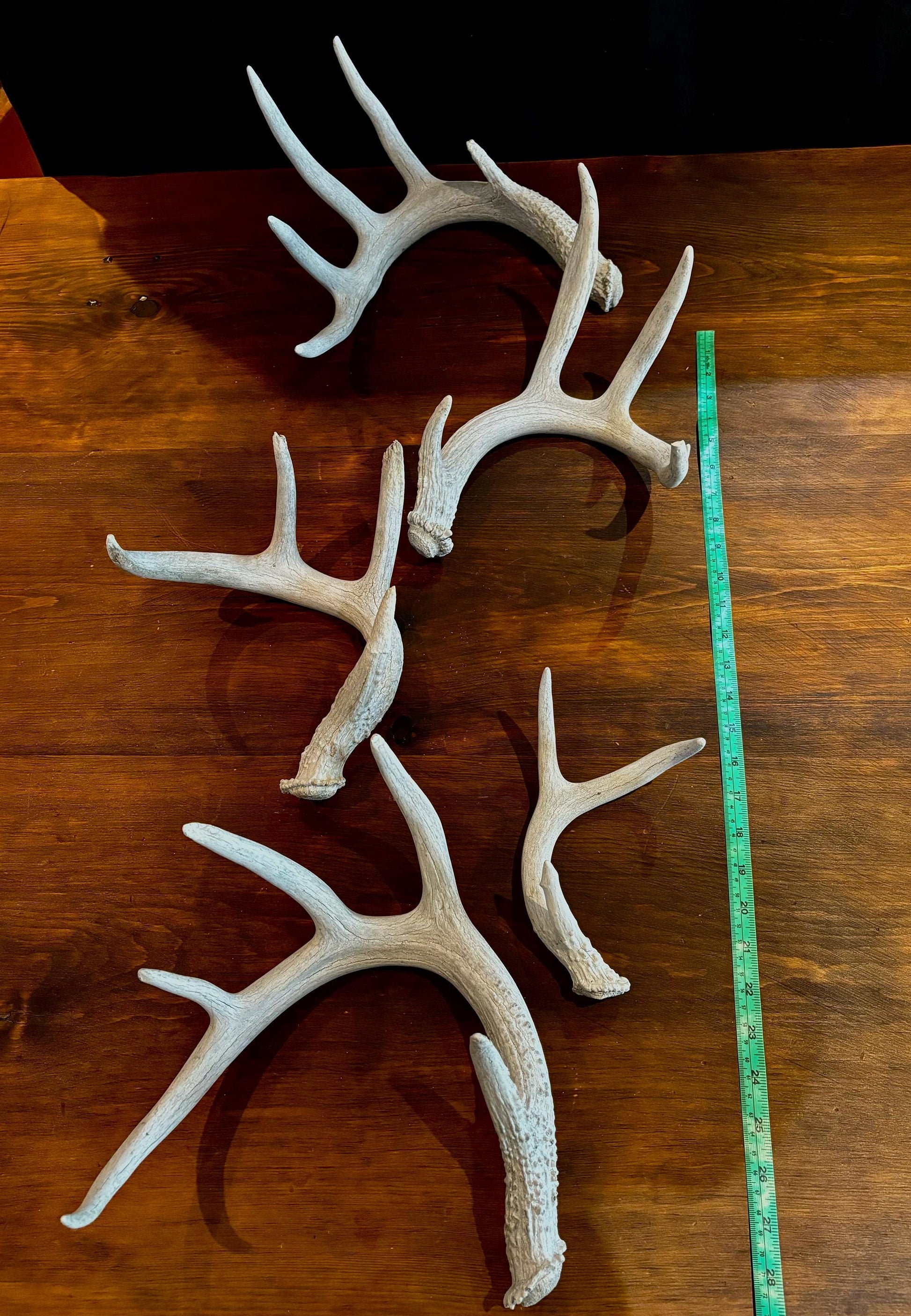 Deer Antlers (Poor Quality) - "Chalk Antlers". For Decorations, Crafting, and Much More