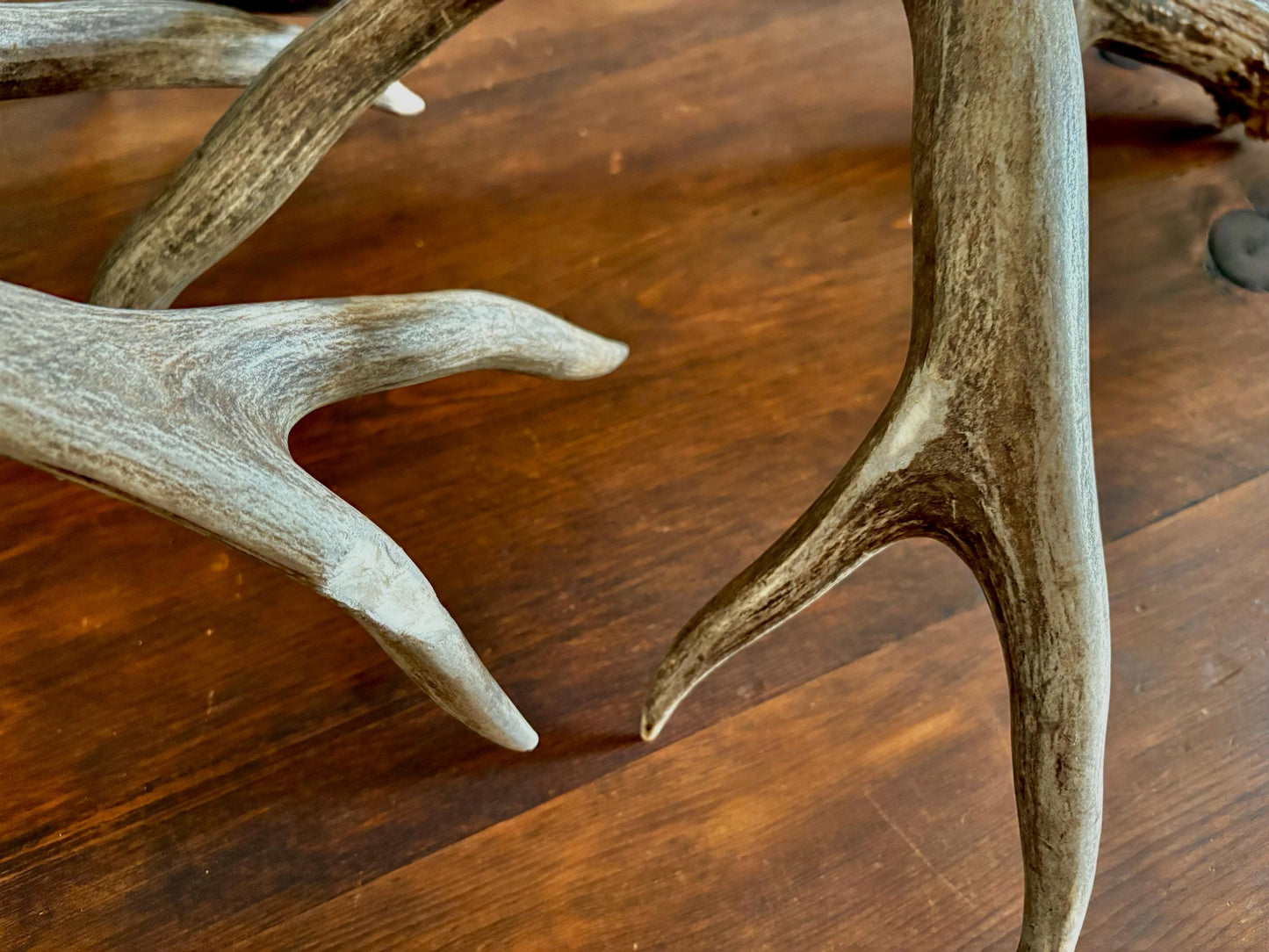 Classic Mule deer Antler Set! Northern Canada Deer Antlers/Horns! For Crafting, Decor and Much More!