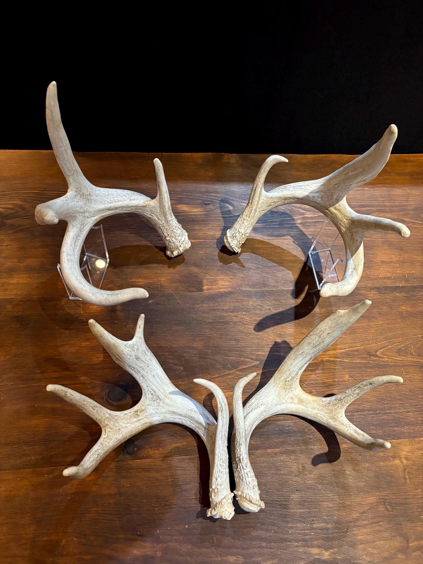4 Deer Antlers - 2 Matched Sets From the Same Deer. Insane Mass. Super Heavy Whitetailed deer
