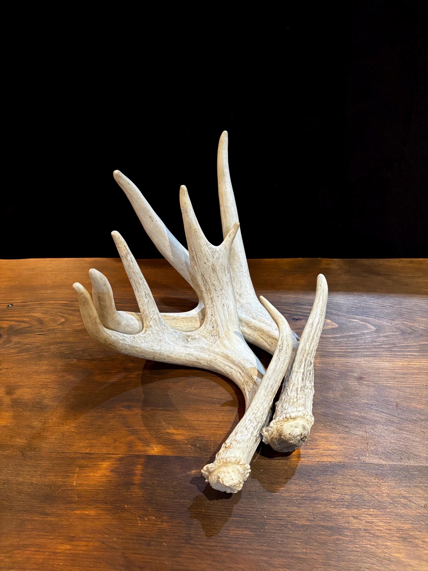 4 Deer Antlers - 2 Matched Sets From the Same Deer. Insane Mass. Super Heavy Whitetailed deer