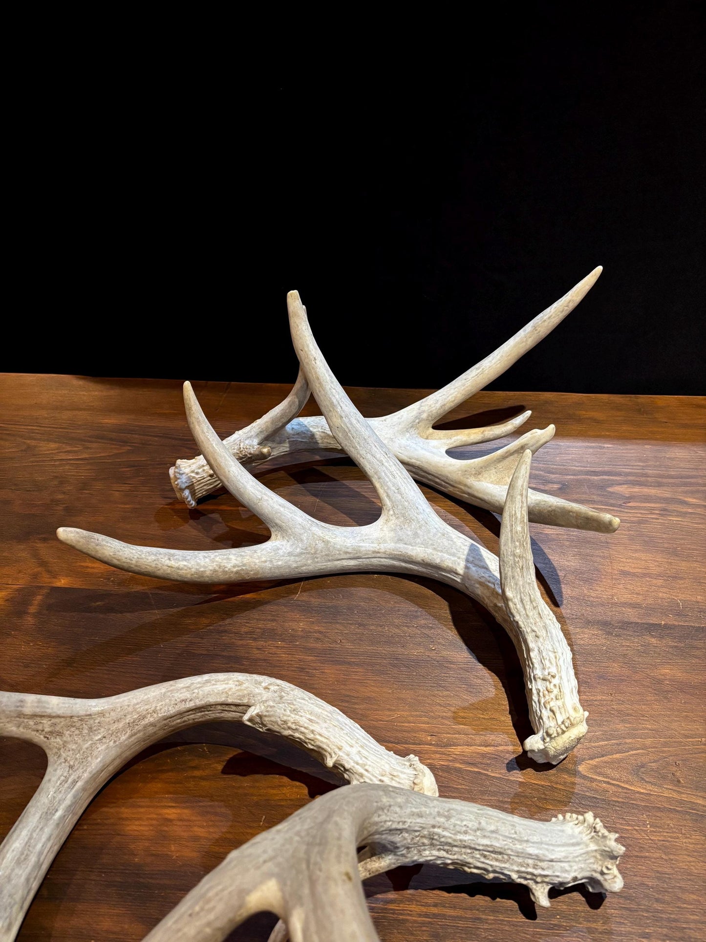 4 Deer Antlers - 2 Matched Sets From the Same Deer. Huge Whitetailed deer