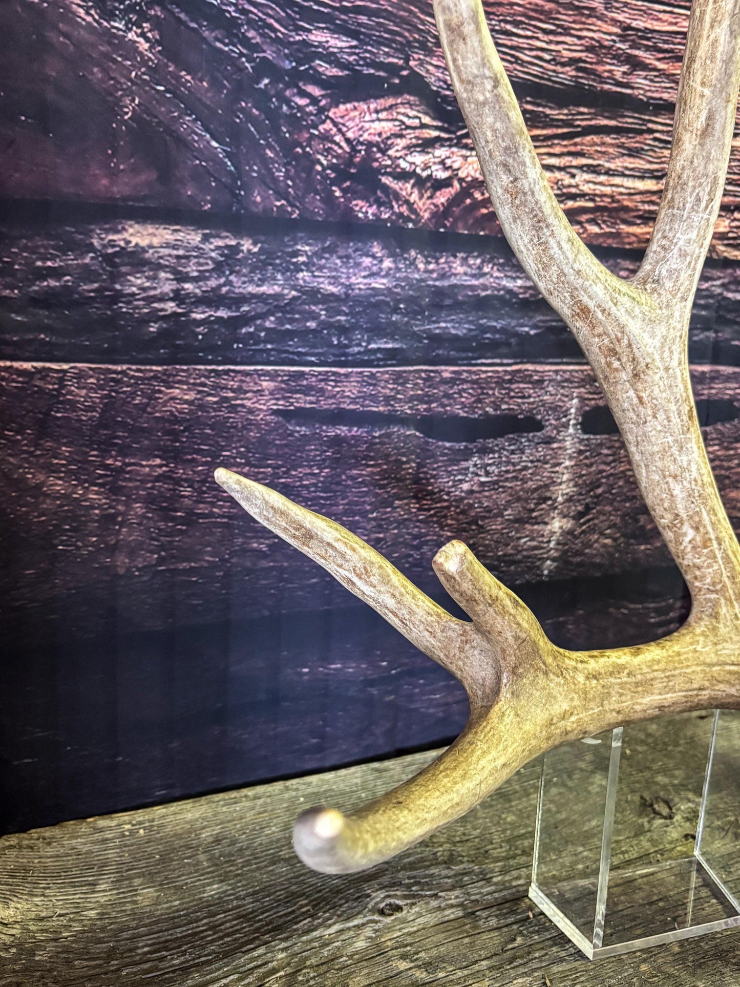 Mule deer antlers. Large Matching Set. Naturally shed. Decor. Crafting