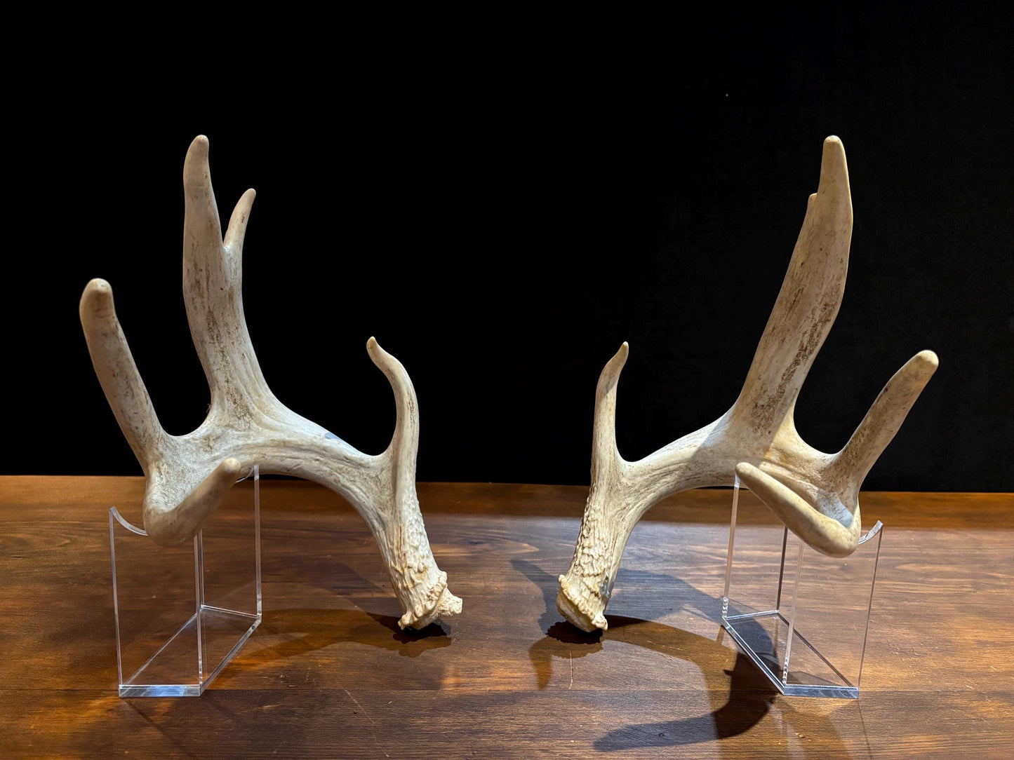 4 Deer Antlers - 2 Matched Sets From the Same Deer. Insane Mass. Super Heavy Whitetailed deer