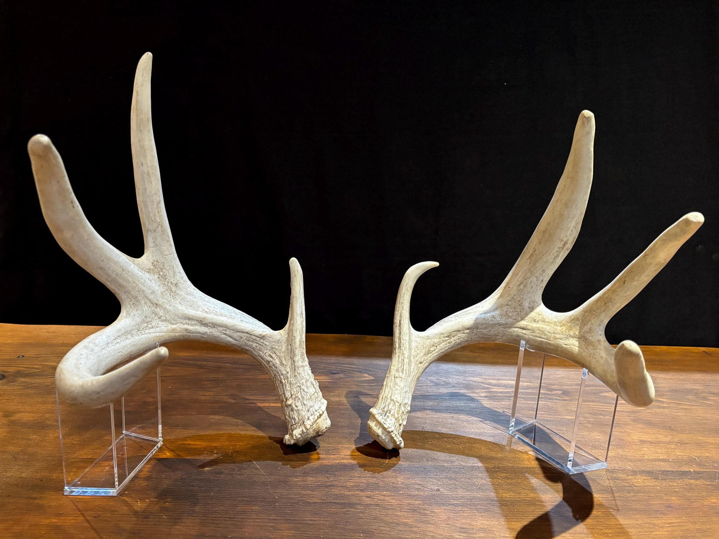 4 Deer Antlers - 2 Matched Sets From the Same Deer. Insane Mass. Super Heavy Whitetailed deer