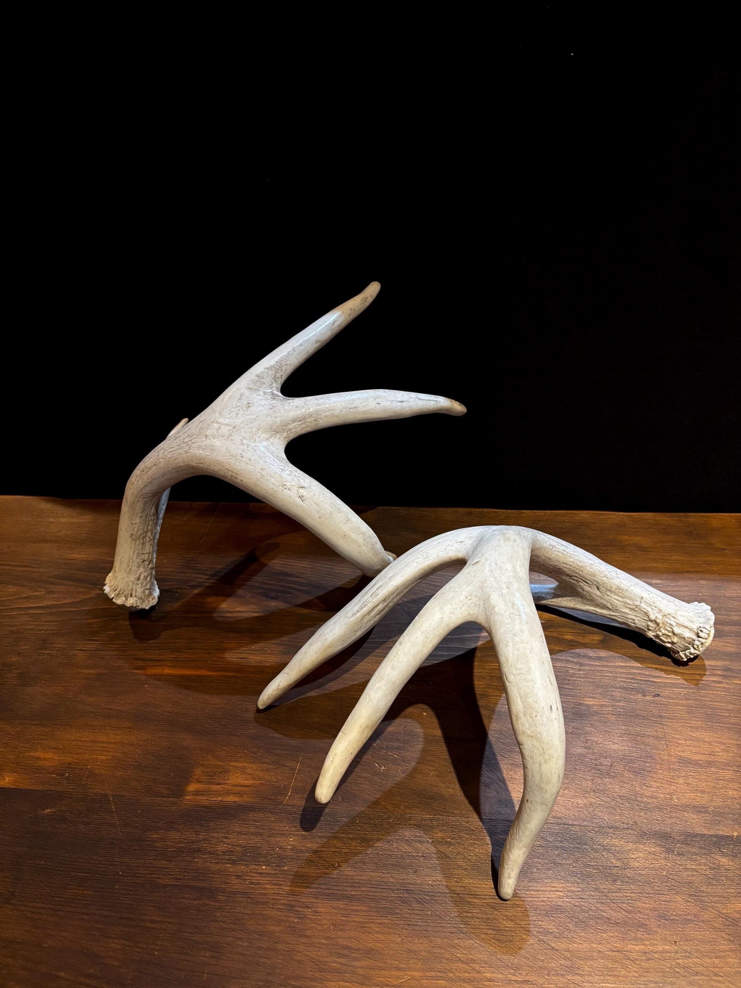4 Deer Antlers - 2 Matched Sets From the Same Deer. Insane Mass. Super Heavy Whitetailed deer