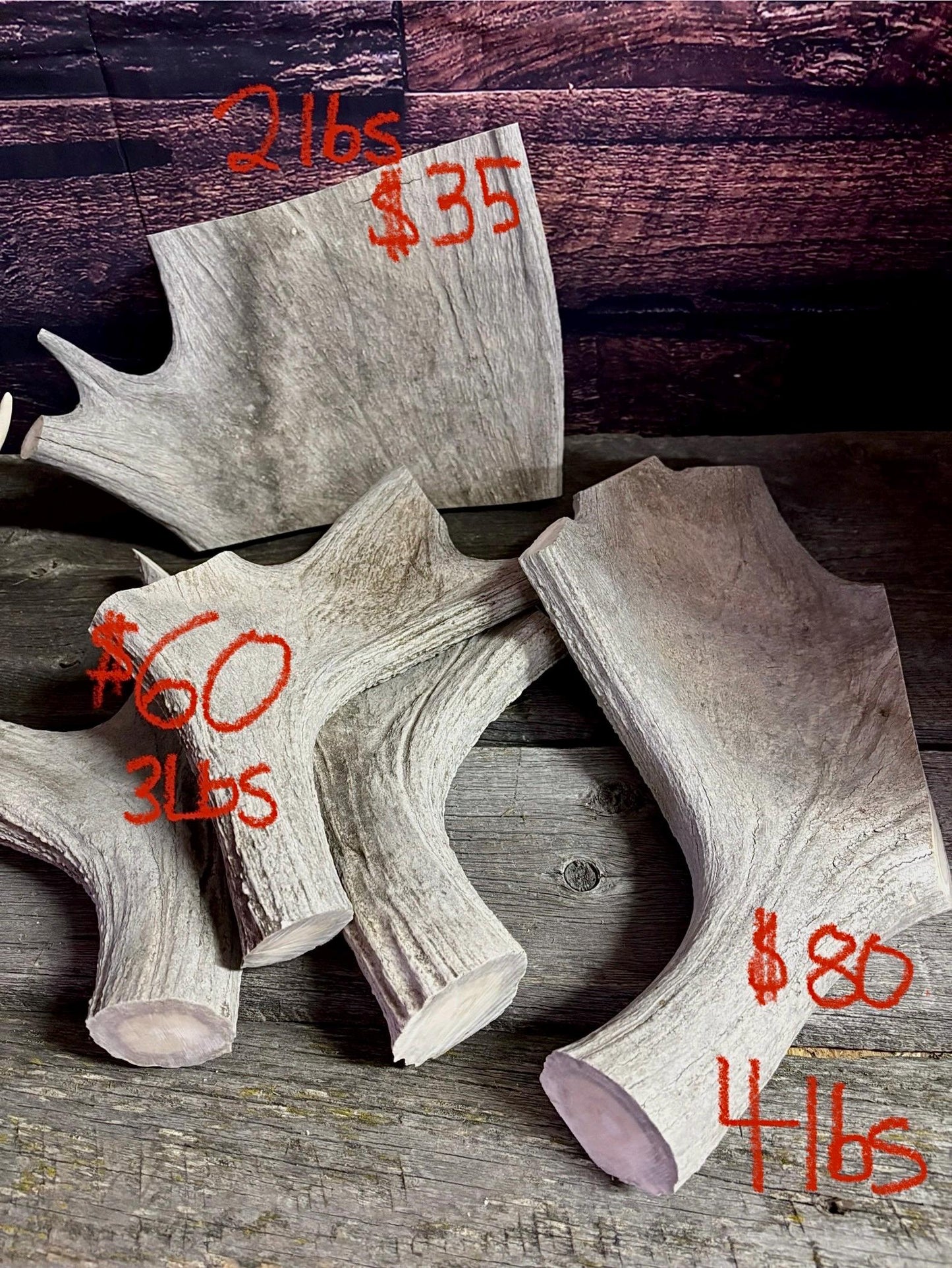 XXL Moose Antler dog treats - Grade B. 100% Sustainable, Naturally Shed.