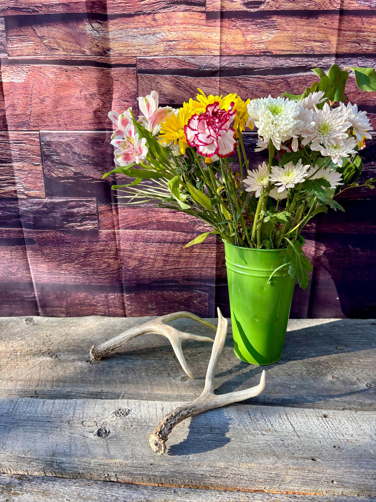 Deer Antlers - Mule deer Matching Set. Wild Canadian Mule deer Buck Antlers for Crafting, Decor and More