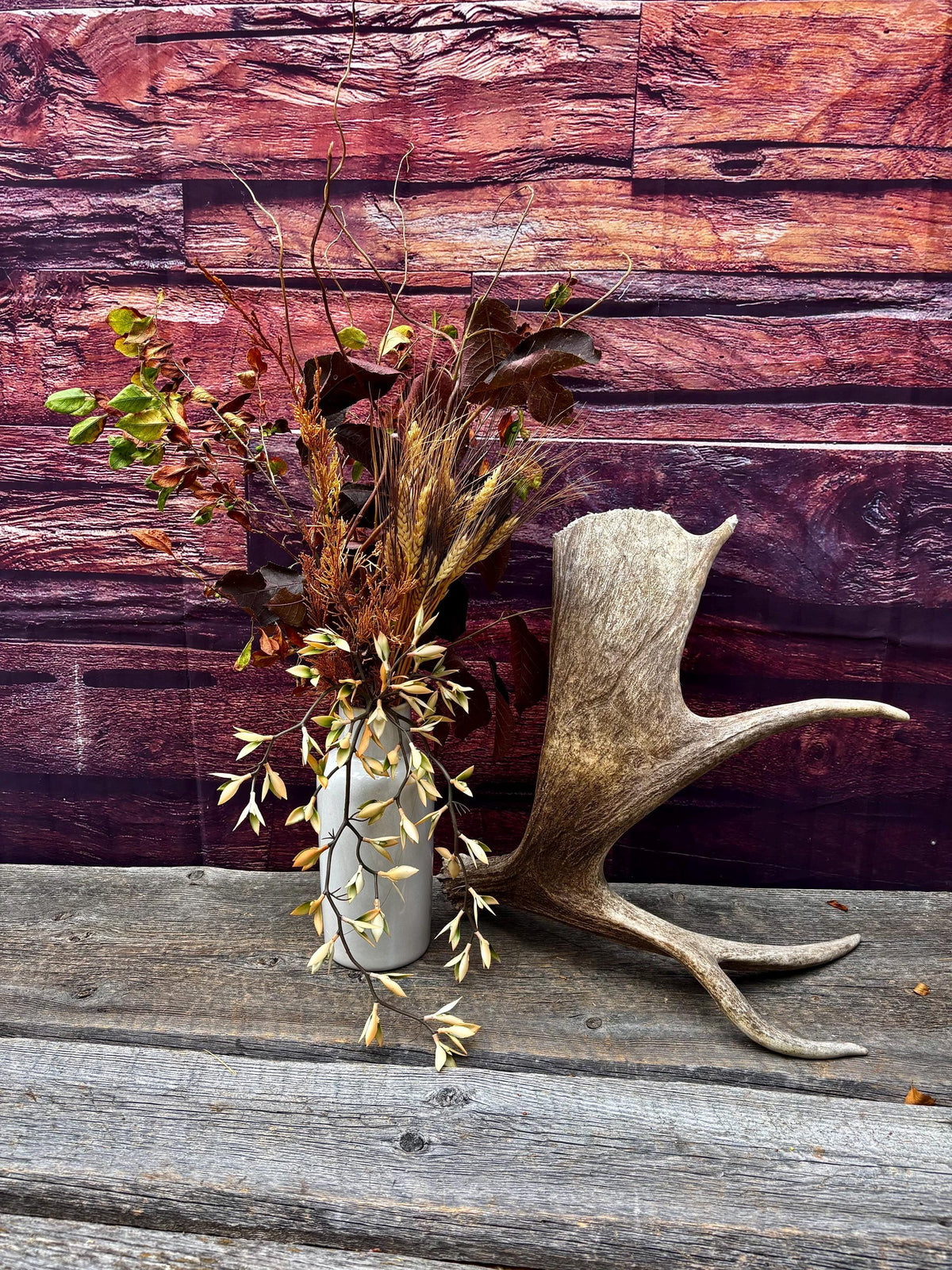 Moose Antler. For crafting, decor and more.