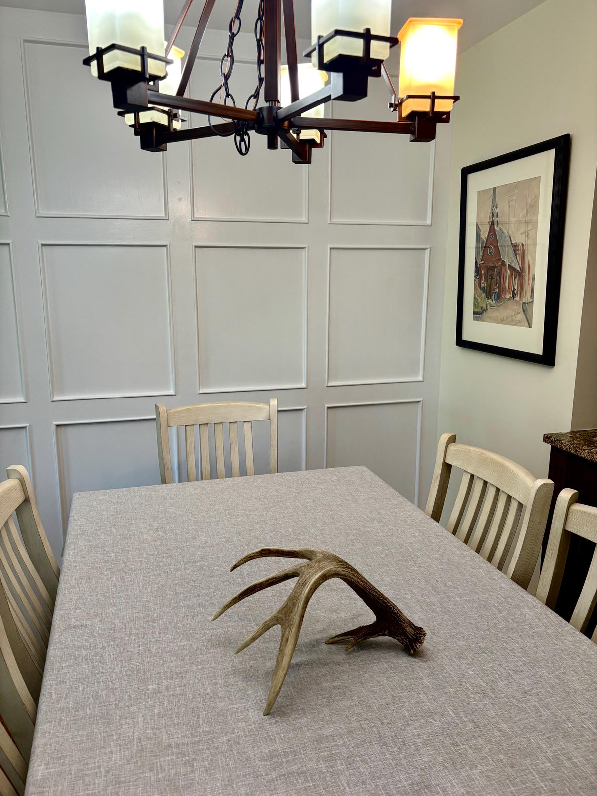 Incredible White-tailed deer Antler. Large single deer shed for decor, design, crafting and more!