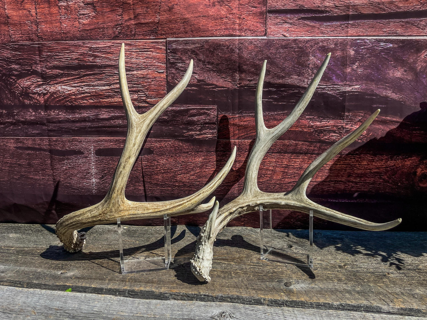 Mule Deer Antlers. Matching Antler Set. Rustic & Farmhouse Decor, Interior Design, and more!