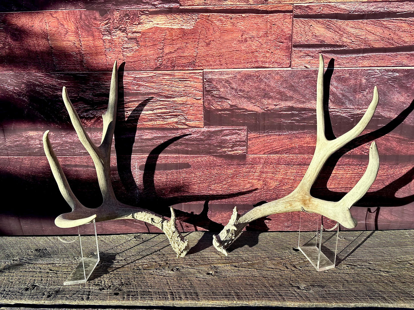 Mule Deer Antlers. Matching Antler Set. Rustic & Farmhouse Decor, Interior Design, and more!
