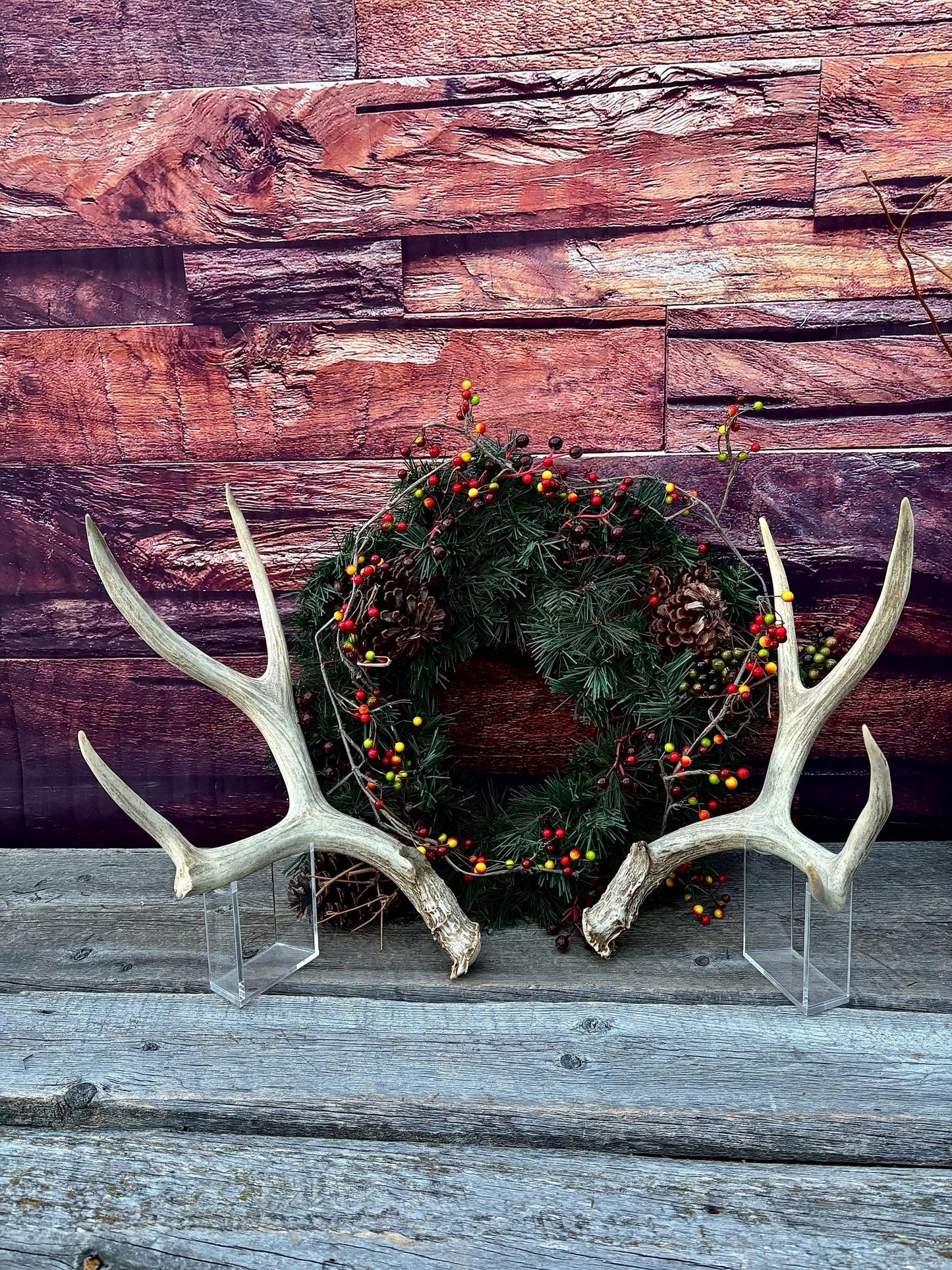 Antlers. Mule Deer Matched Set! Naturally Shed - For Decor, Crafting, Pets and More