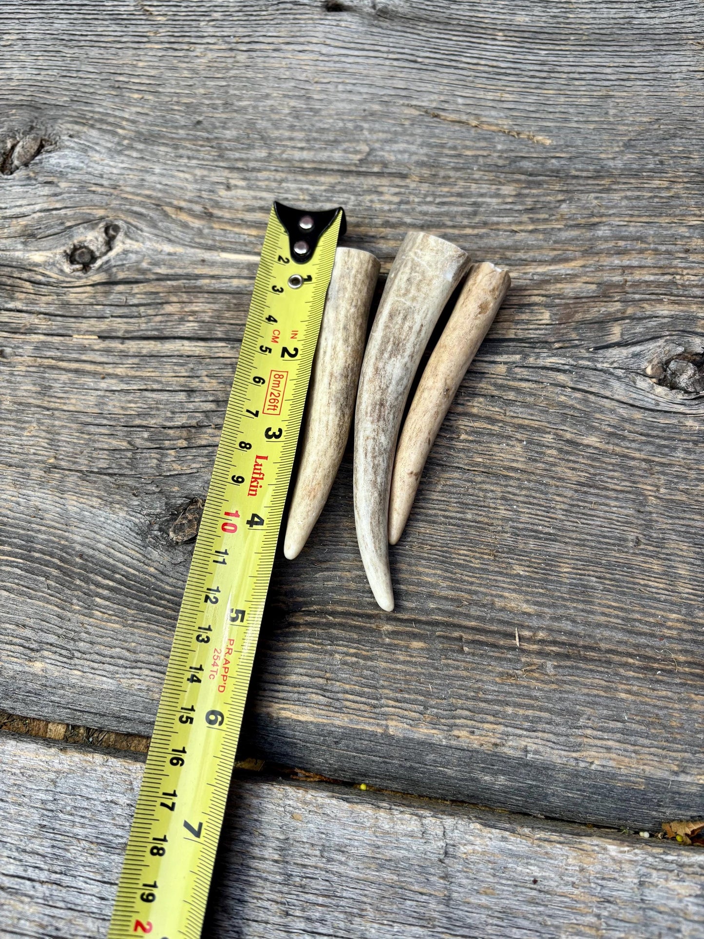 Deer Antler Tips: 3-Pack of ~4” - 5" Tine Tips for Crafting, Decor and More!