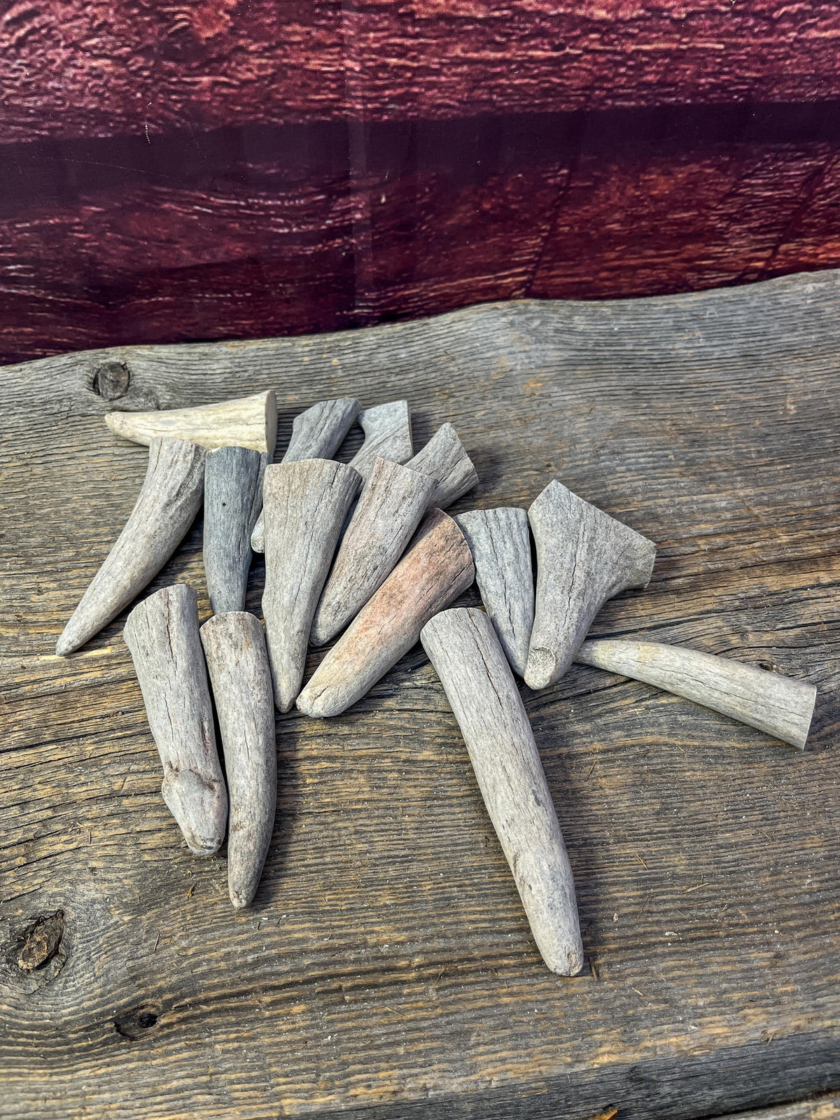 Antler Tips - Pack of 15 Tips / Tines for Crafting, Decor and More