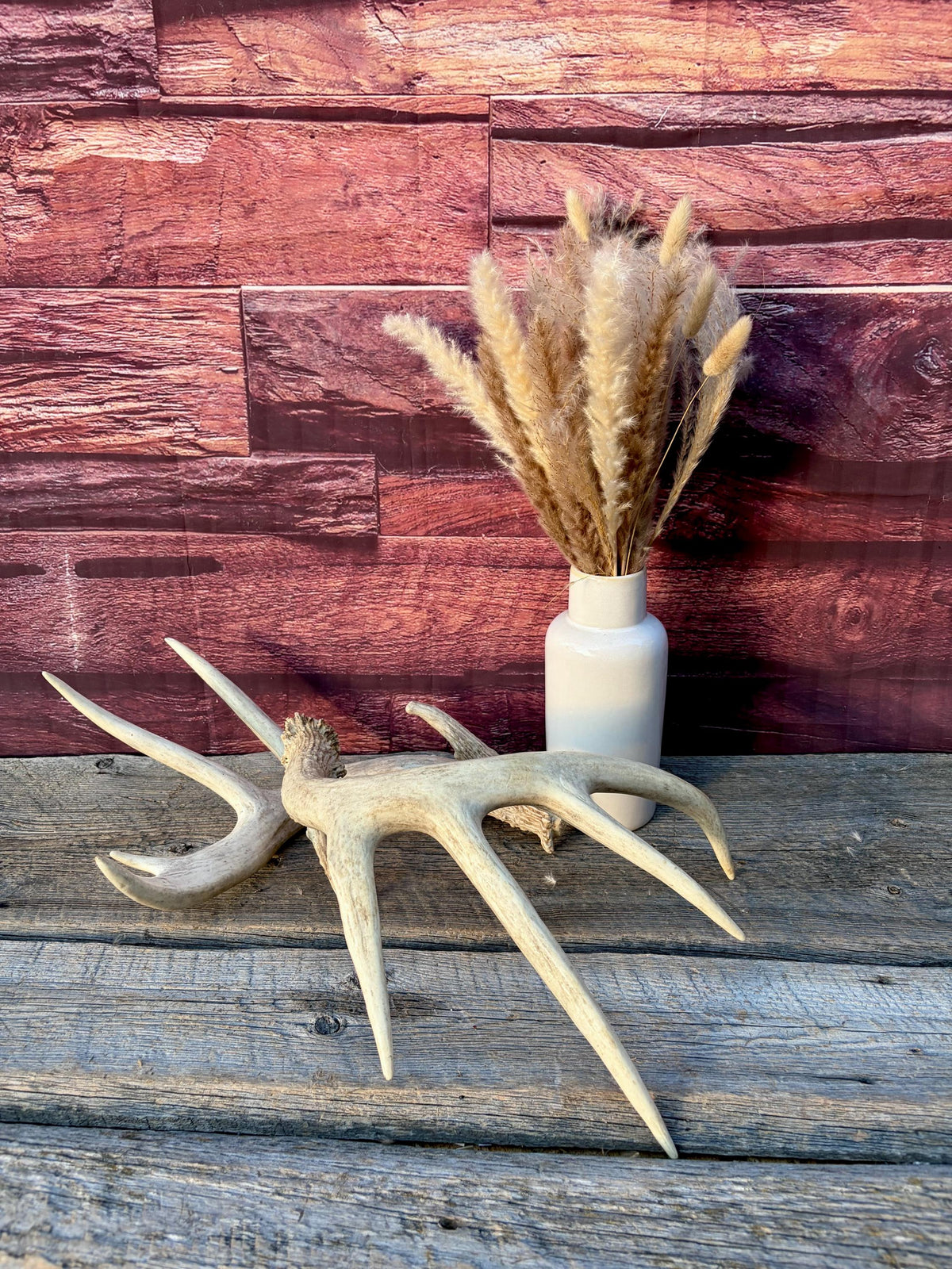 White-tailed Deer Antlers - Enormous Matching Set. Insane Mass! Decor Crafting and More. Perfect Condition