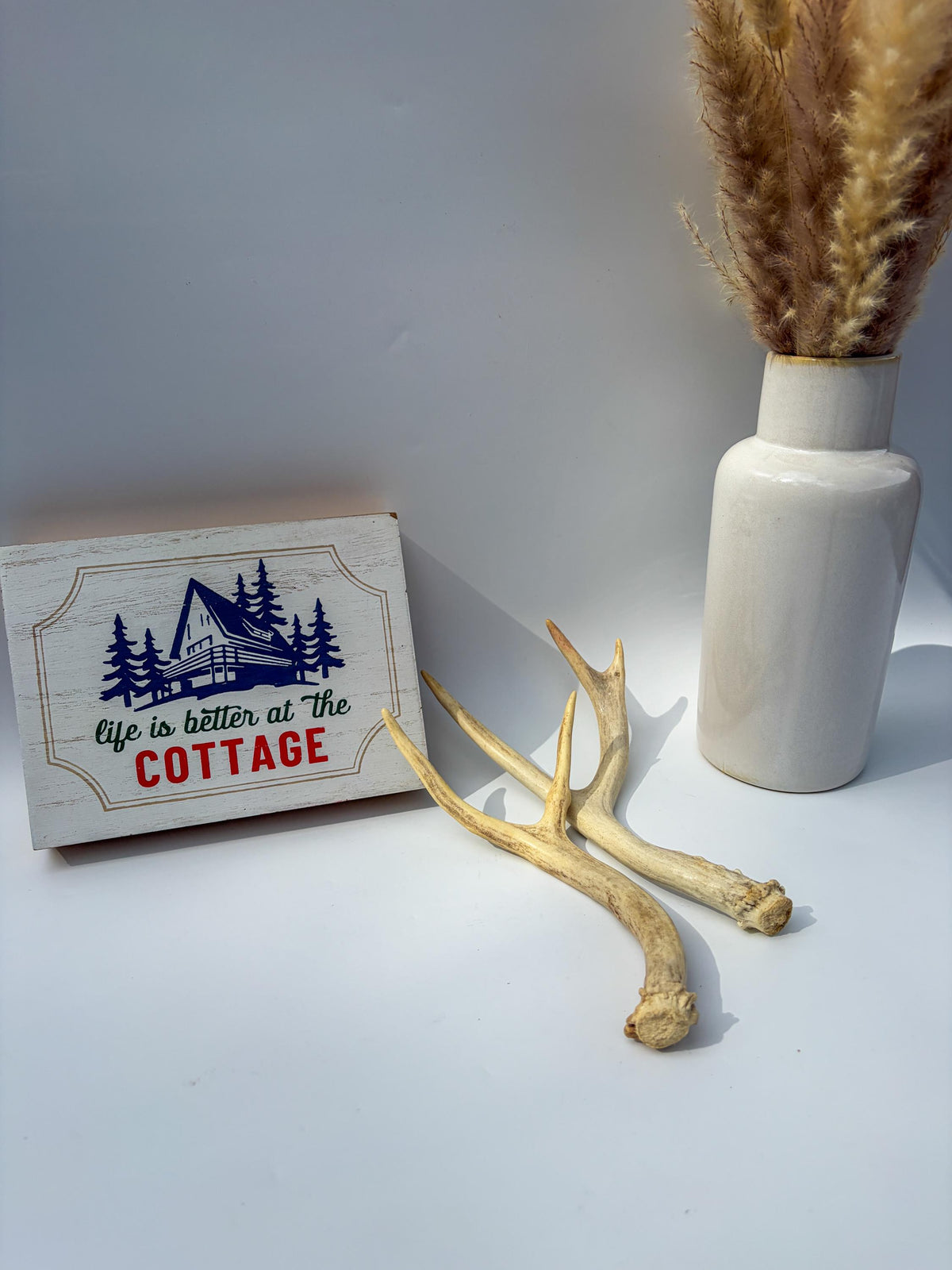 Mule Deer Antlers. Matching Brown Set. Decor, design, crafting and more!