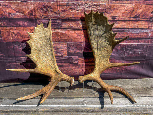 Custom order for John Jarman