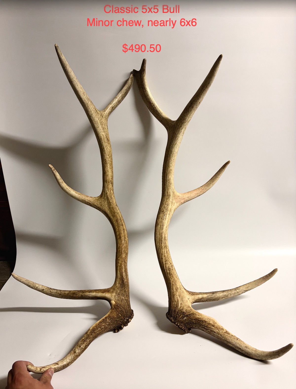 Elk Set Custom Order for Heidi