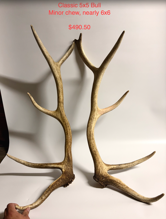 Elk Set Custom Order for Heidi
