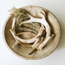 Natural White-tail Deer Antlers. ANY SIZE. Crafting, Decorations and So Much More. Highest Quality, Naturally Shed