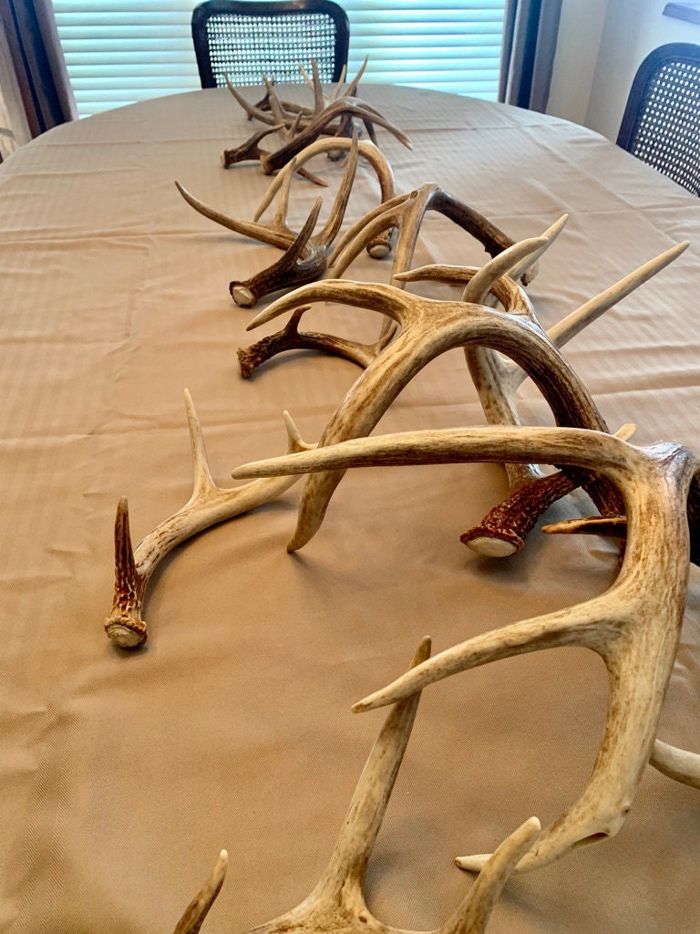 Natural White-tail Deer Antlers. ANY SIZE. Crafting, Decorations and So Much More. Highest Quality, Naturally Shed