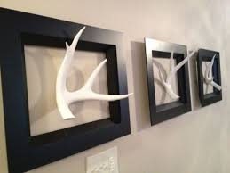 Deer Antler - Large Mule deer antler. horns/antlers. Crafting. Decor.