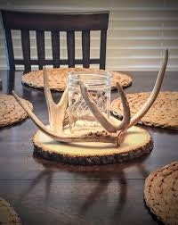 Deer Antler - Large Mule deer antler. horns/antlers. Crafting. Decor.