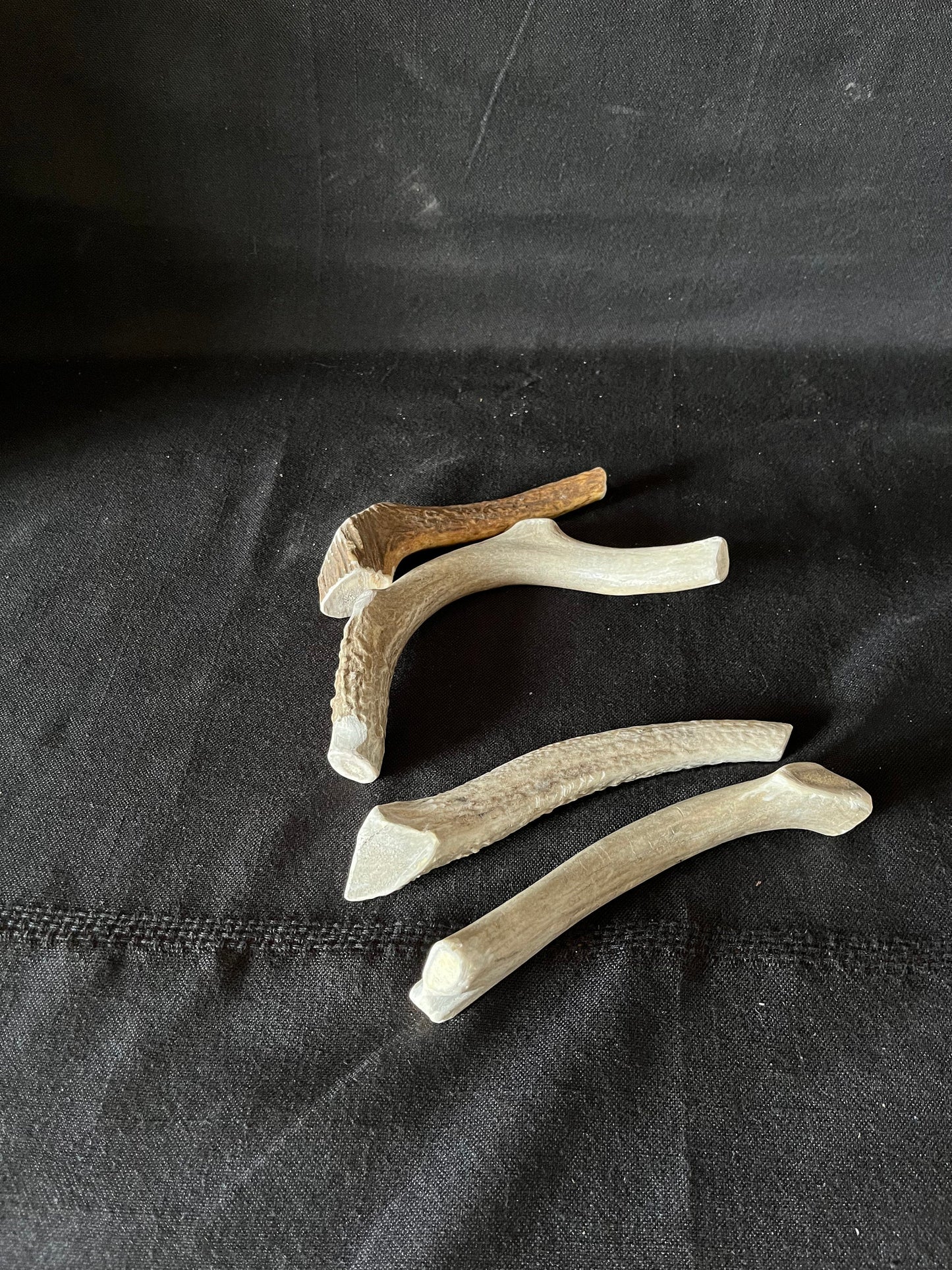 Small Dog Chews! Wild Deer/Elk antler chews. Naturally Sourced.