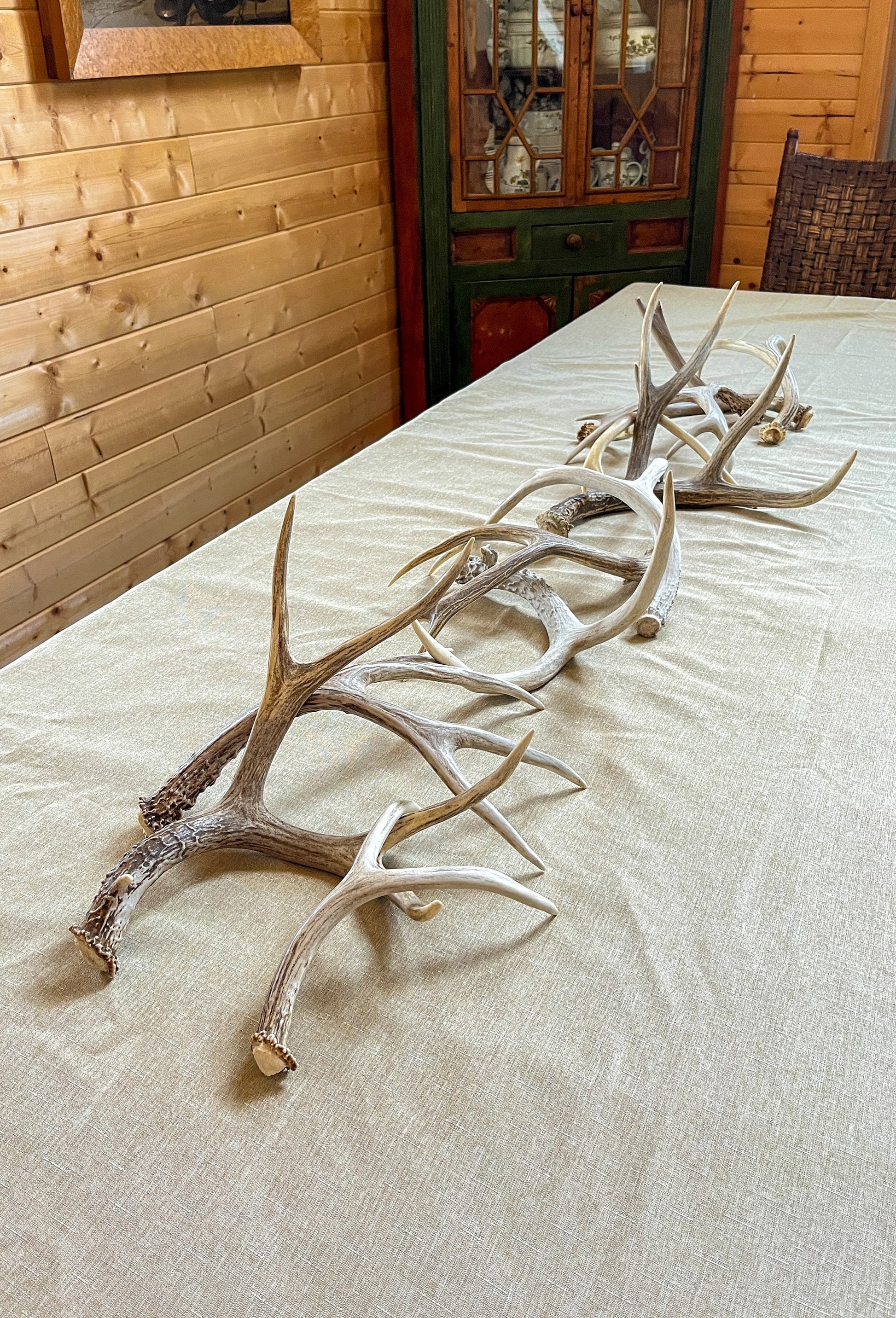 Natural Mule Deer Antlers. FRESH finds, ANY SIZE. Crafting. Decor & Much More