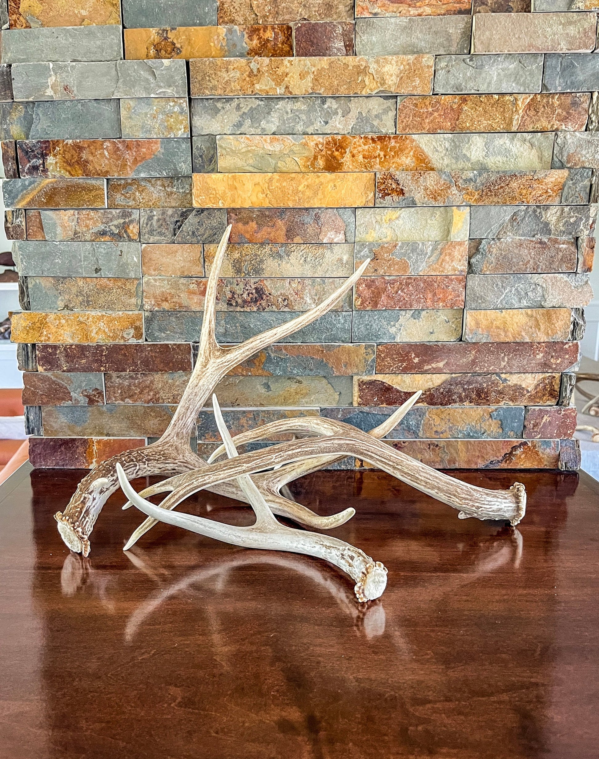 Natural Mule Deer Antlers. FRESH finds, ANY SIZE. Crafting. Decor & Much More