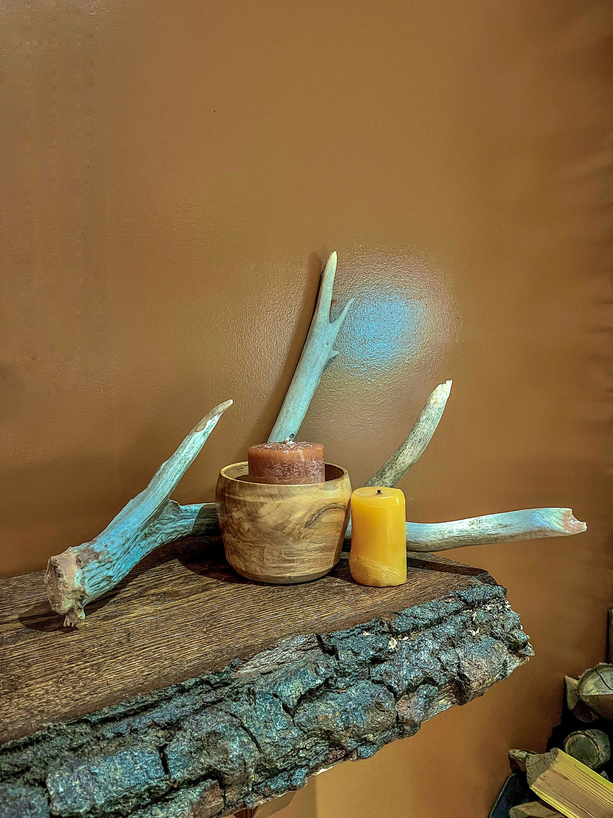 Huge deer Antler. For Crafting, Cabin Decor and More