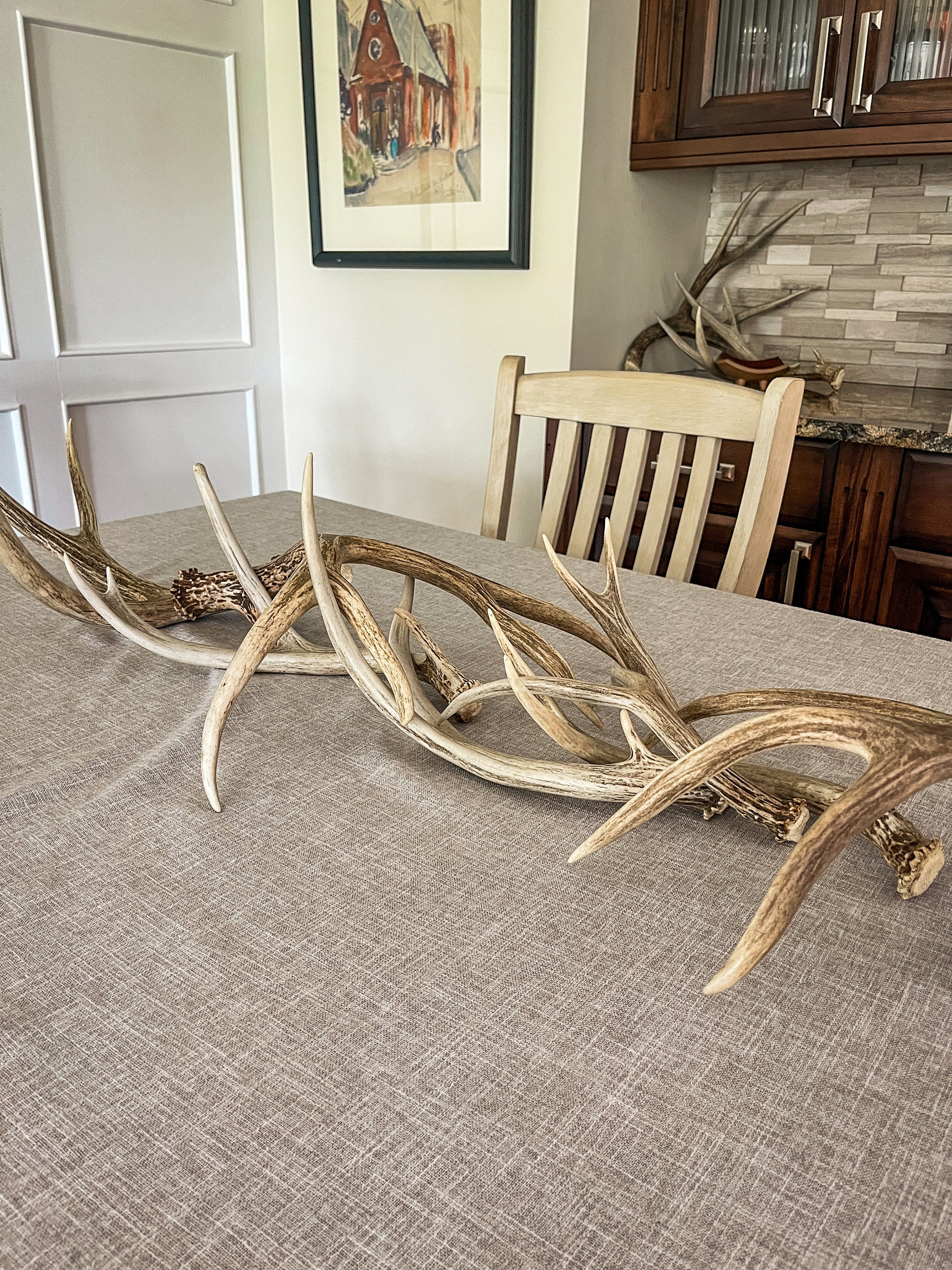 Natural Mule Deer Antlers. FRESH finds, ANY SIZE. Crafting. Decor & Much More