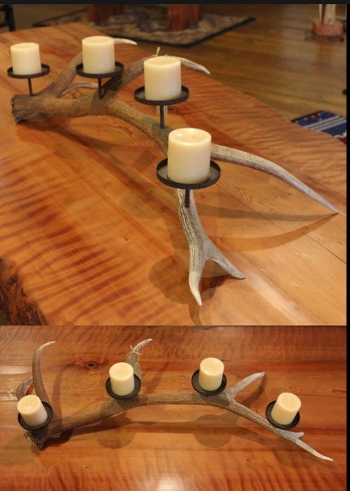 Elk Antler. Wild Natural Shed from a Canadian Bull Elk. Incredibly Rare find. Crafting and Decor