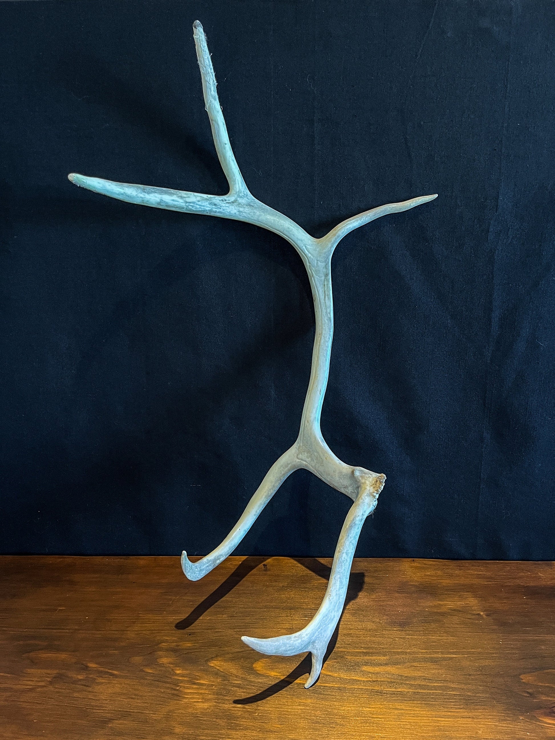 Reindeer Antlers! Matched Set Decorative Antlers/Horns. Female Caribou Matching Antler Set.