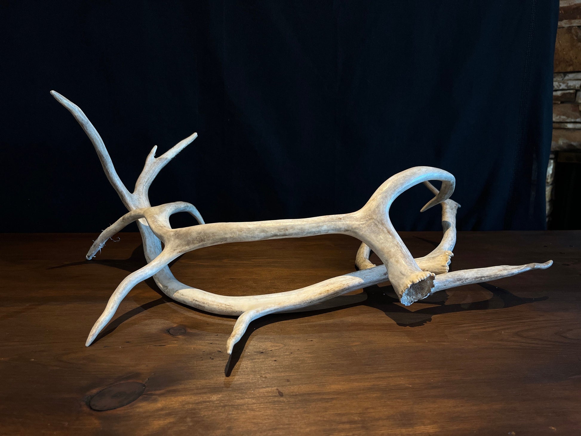 Reindeer Antlers! Matched Set Decorative Antlers/Horns. Female Caribou Matching Antler Set.