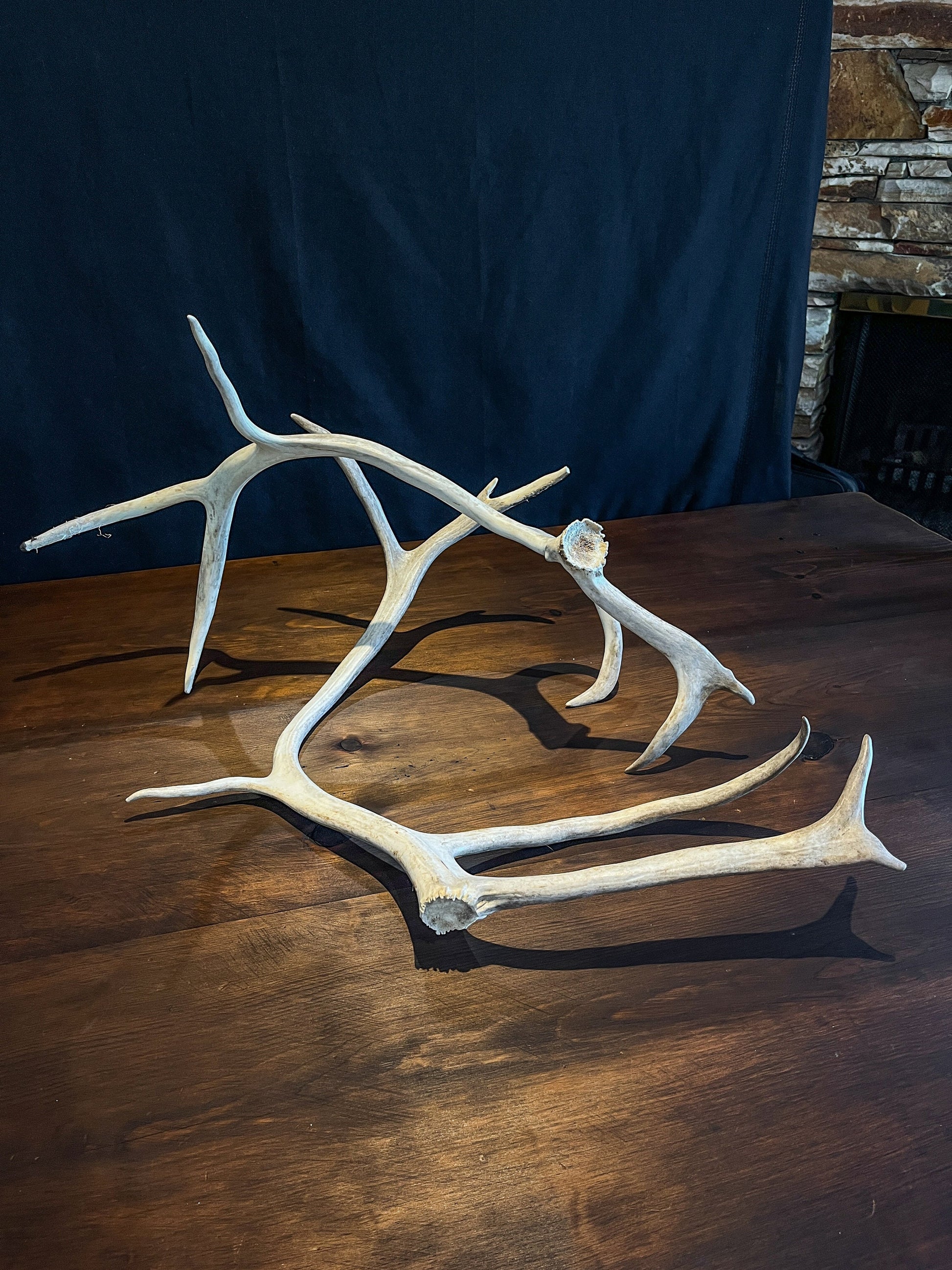 Reindeer Antlers! Matched Set Decorative Antlers/Horns. Female Caribou Matching Antler Set.