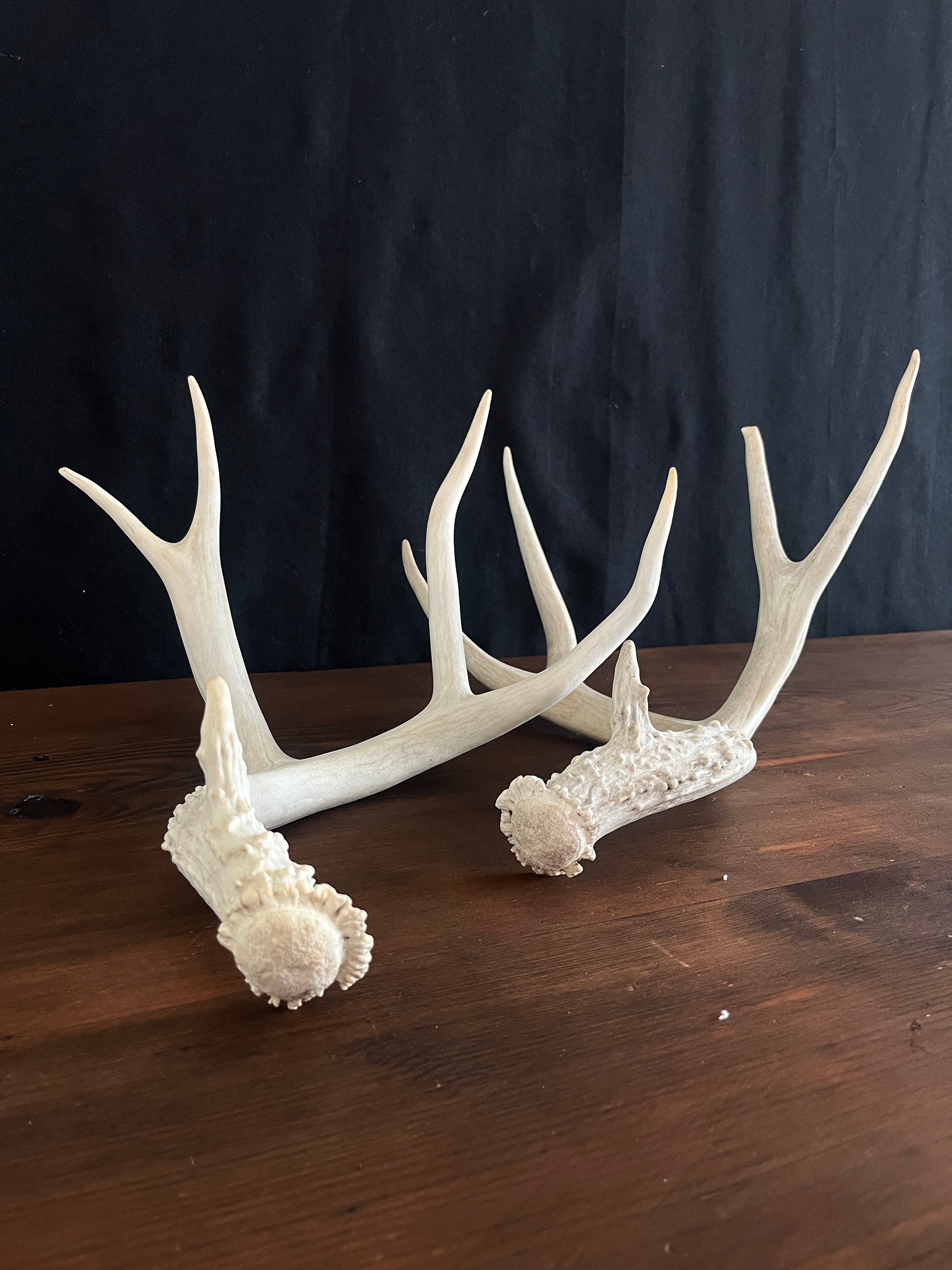 Beautiful Matching Set of Mule Deer Antlers. Rustic style decoration. Perfect for interior design & crafting!