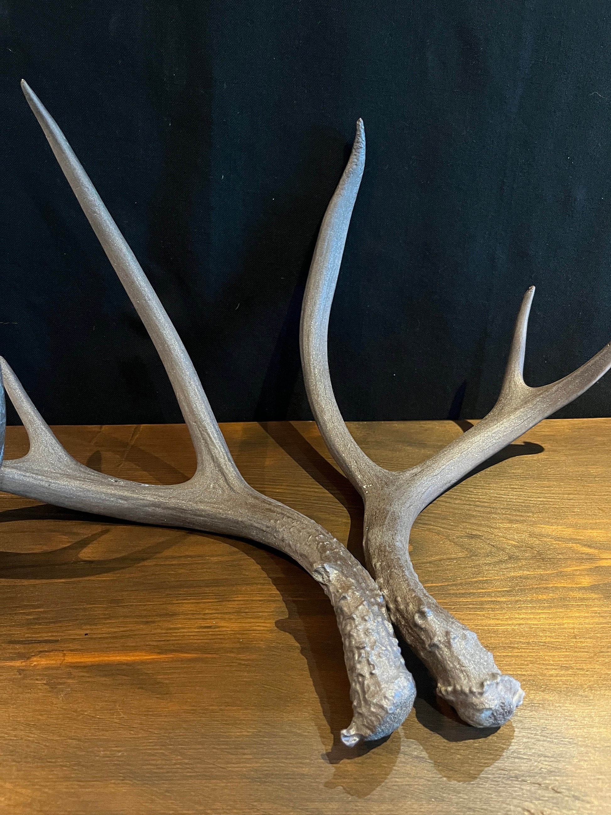 4 Deer antlers. Painted Mule Deer Sheed Antlers. Medium, bronze-sparkle antlers for rustic, farmhouse, winter, and holiday decor.