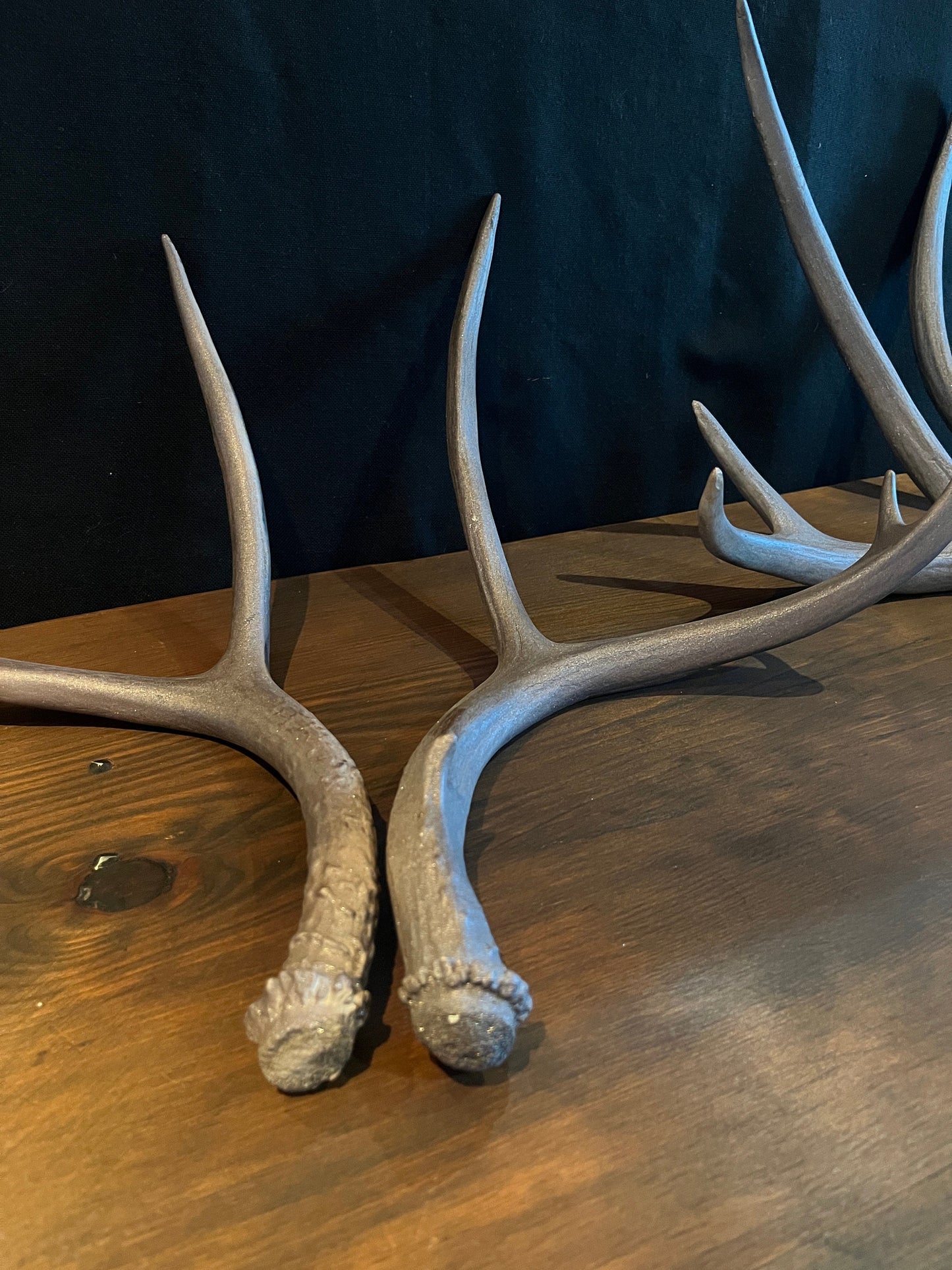 4 Deer antlers. Painted Mule Deer Sheed Antlers. Medium, bronze-sparkle antlers for rustic, farmhouse, winter, and holiday decor.