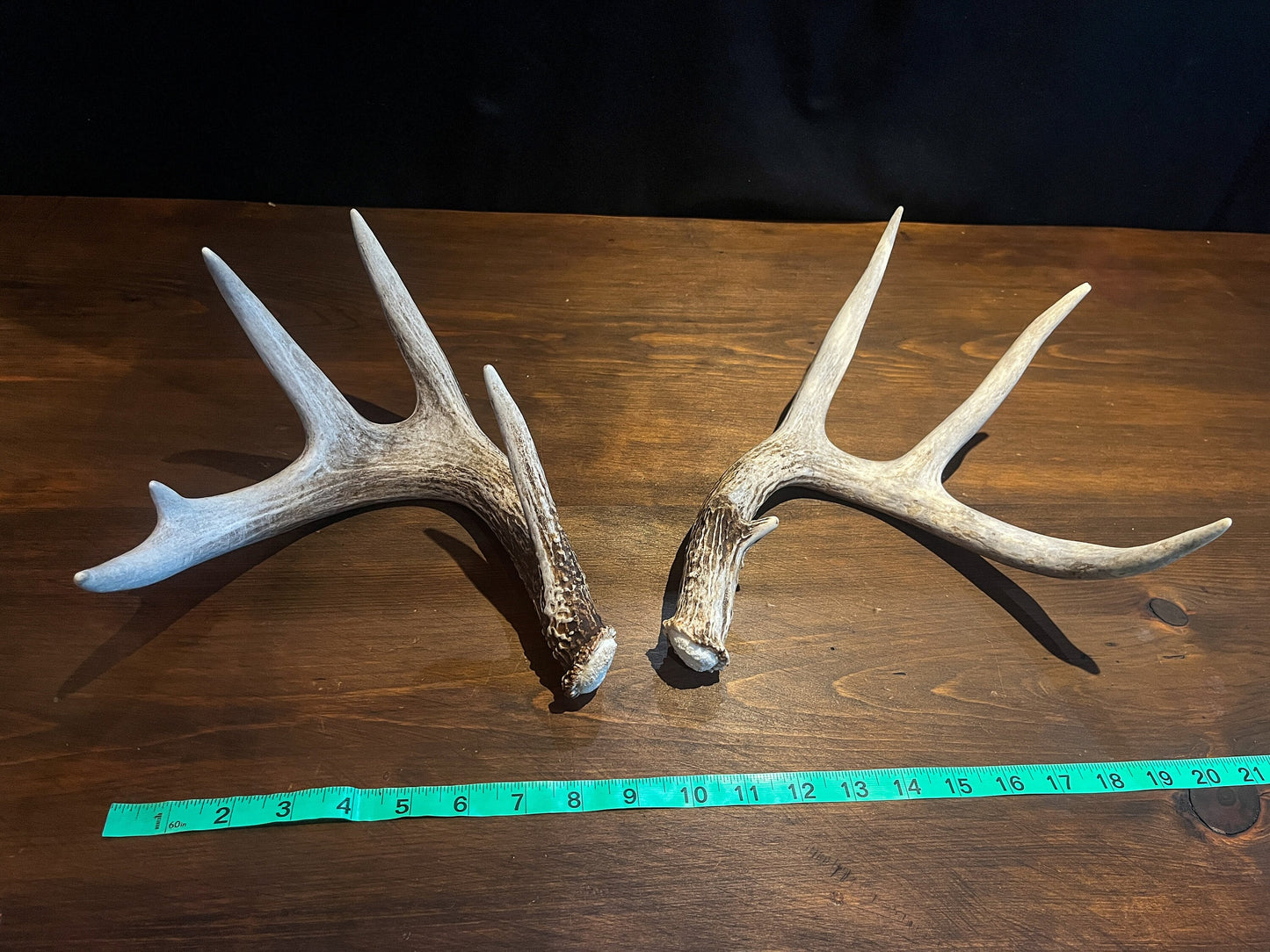 Deer Antlers - matched Whitetailed deer set. Pair of Antlers from an Alberta Whitetail deer.