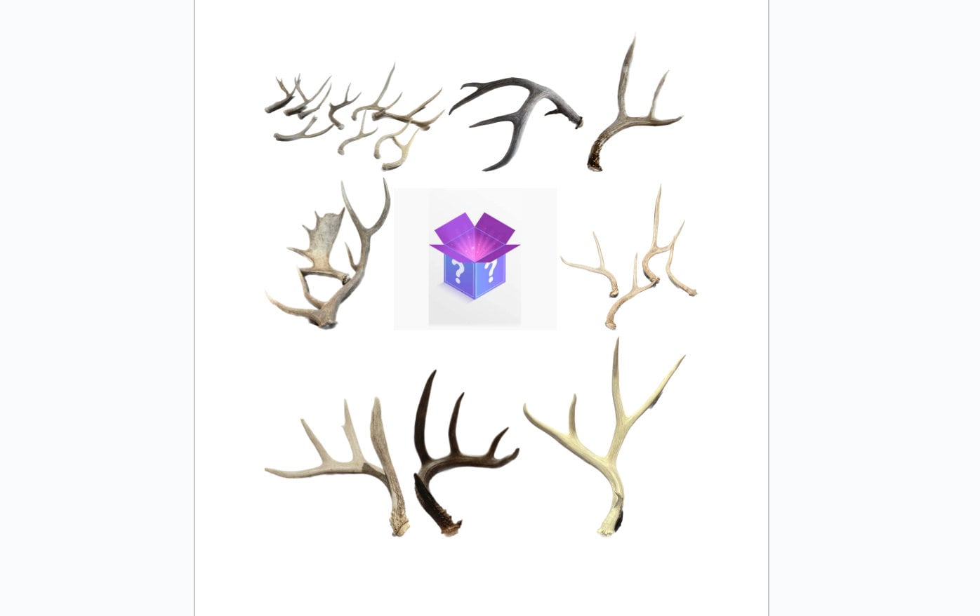 Antler Mystery Box! 4 Whole Antlers! Crafting Decor and More