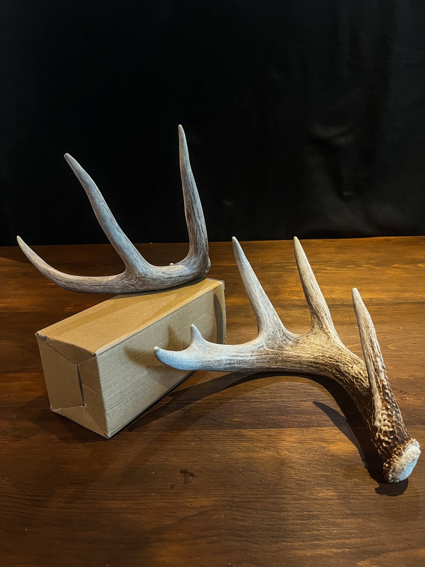 Deer Antlers - matched Whitetailed deer set. Pair of Antlers from an Alberta Whitetail deer.