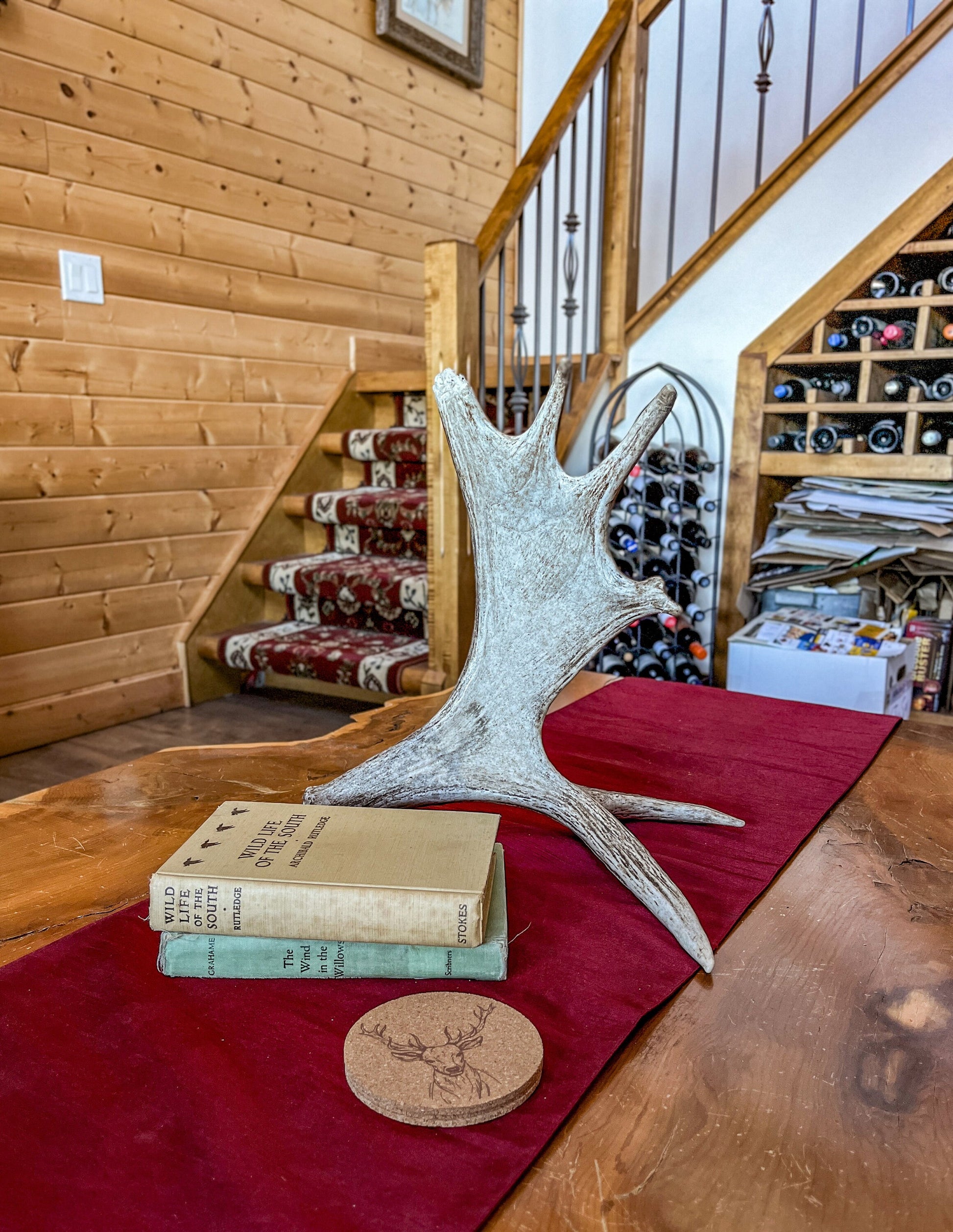 Moose Antler. Bull Moose Antler. Crafting. Decor. Centrepiece.