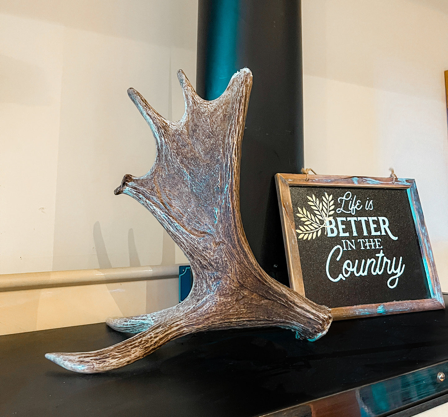 Moose Antler. Bull Moose Antler. Crafting. Decor. Centrepiece.