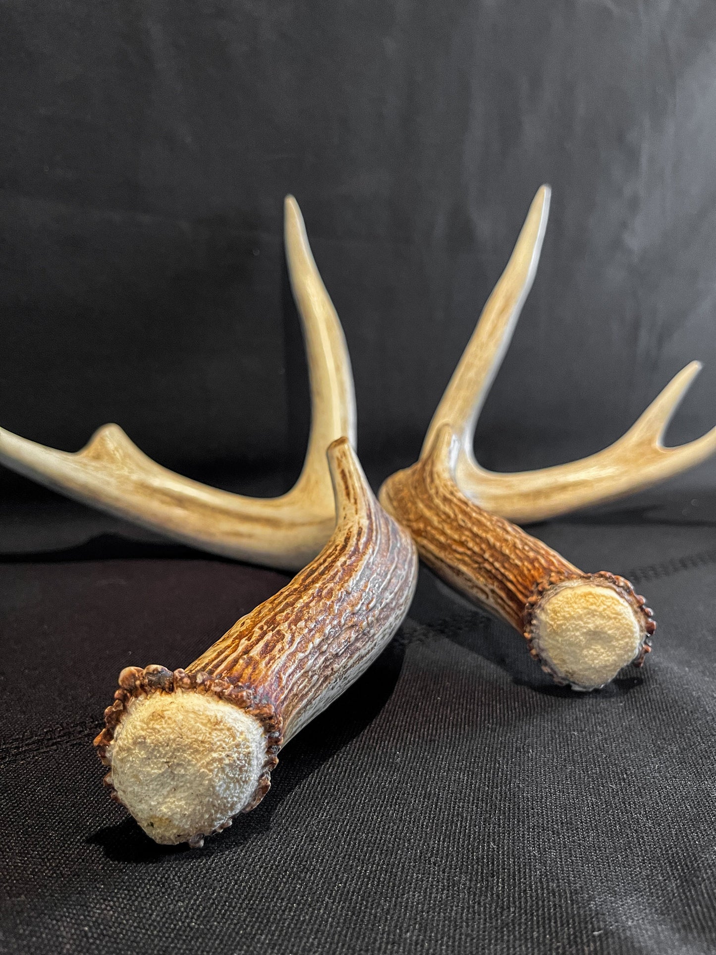 Whitetail Deer Antlers. Matching Brown Set. Decor, design, crafting and more!