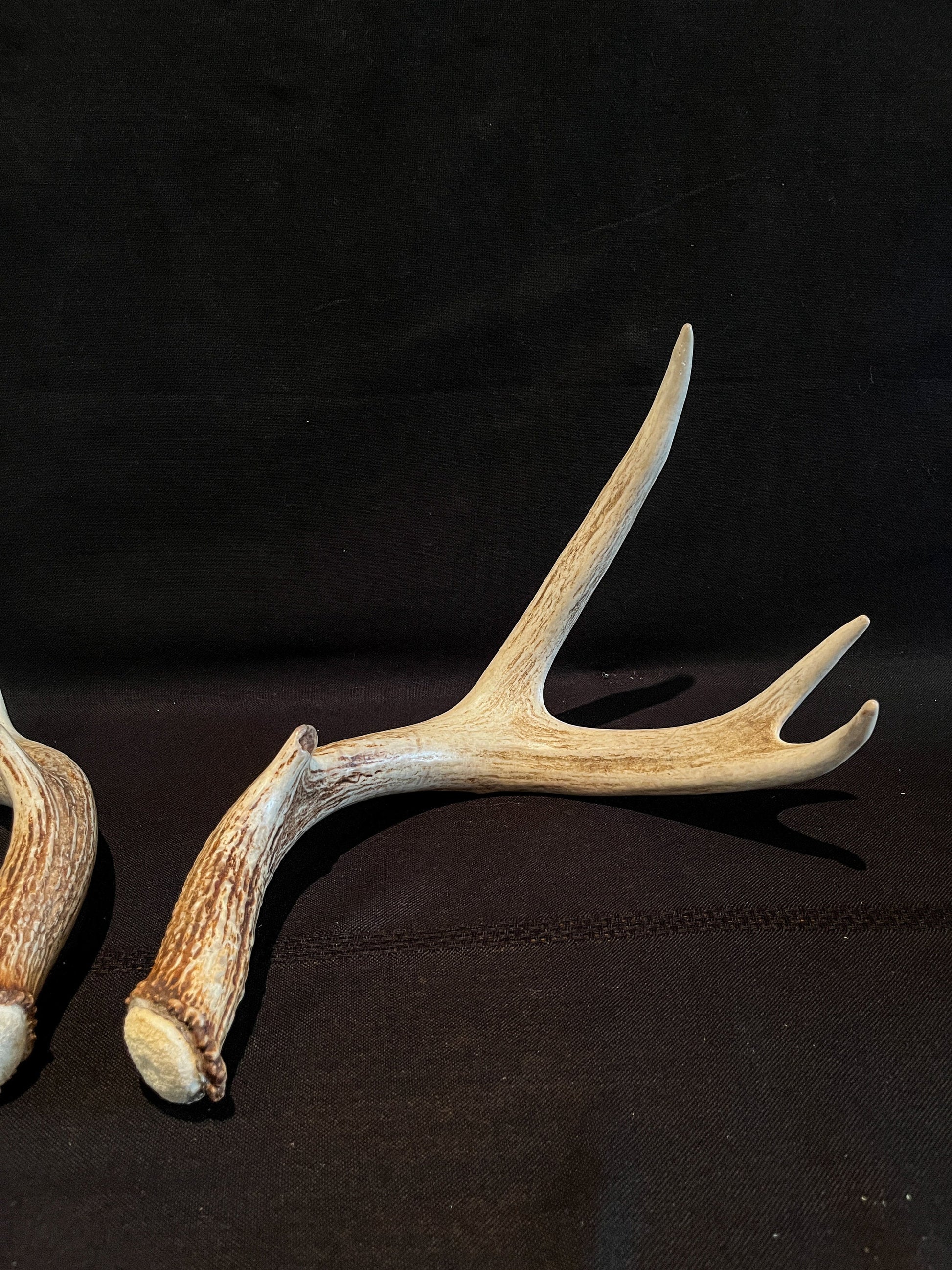 Whitetail Deer Antlers. Matching Brown Set. Decor, design, crafting and more!